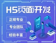 网站开发、网站建设/推广、小程序开发