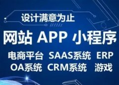 系统开发、系统软件、应用软件、网站开发